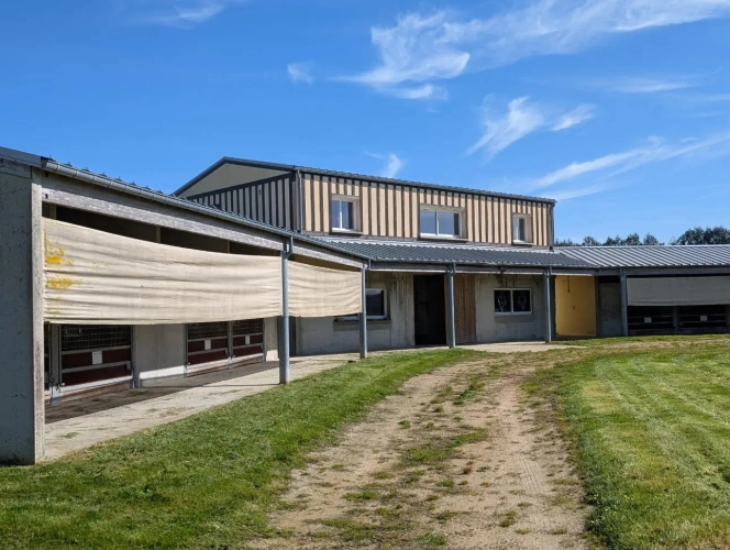 Photos 4 - Équestre - Propriété Equestre région Honfleur Deauville