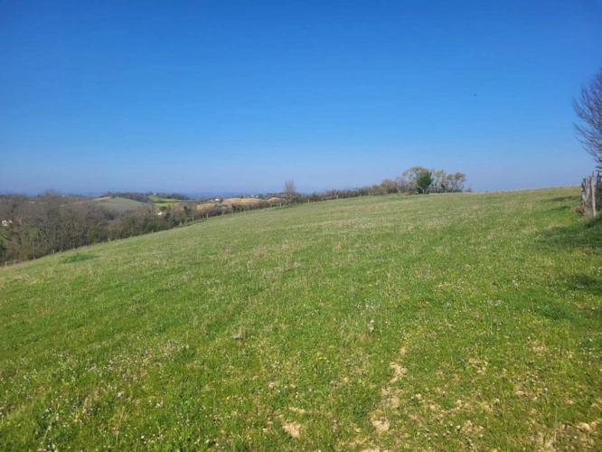 Photos 1 - Agricole - Terrain agricole