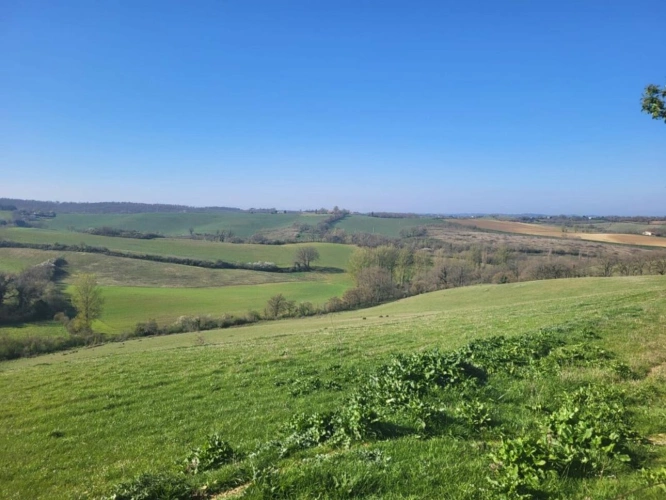 Photos 2 - Agricole - Terrain agricole