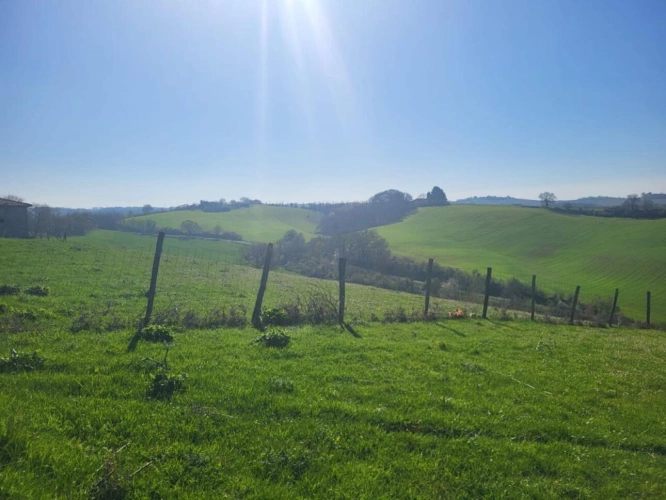 Photos 5 - Agricole - Terrain agricole