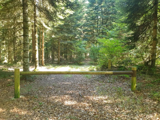 Photos 3 - Forestière - Centre de vacances en pleine nature et son domaine forestier en Corrèze