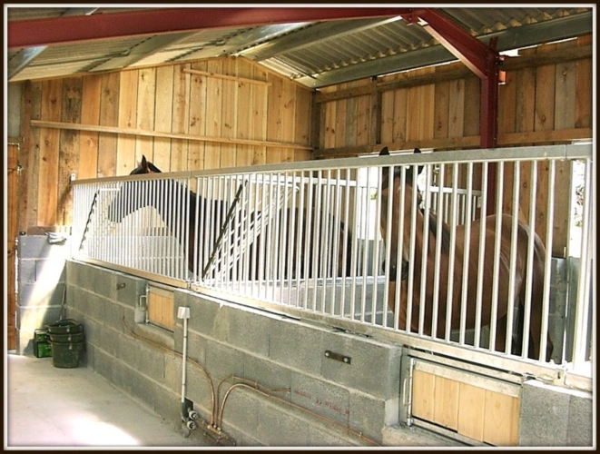 Photos 21 - Équestre - PROPRIETE 13 Ha - MAISON DE MAITRE + APPARTEMENT - CLASSE ENERGIE B