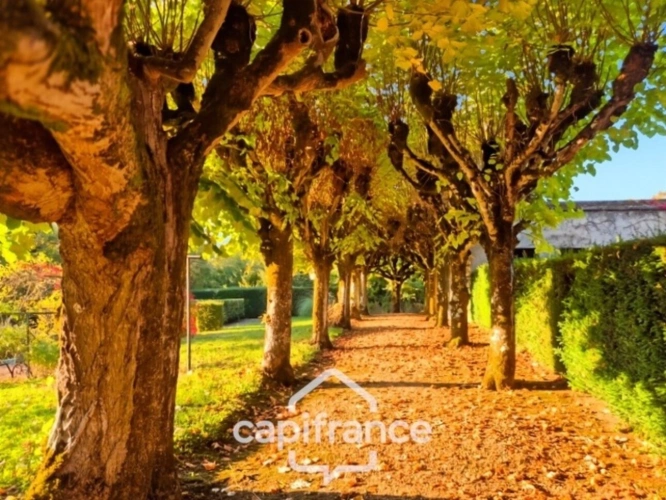 Photos 6 - Prestigious - Property for sale, 12 rooms, TROO (41) - land of 11,473 m² -