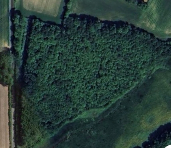 Photos 1 - Forestière - Terrain à vendre  ORSENNES (36)