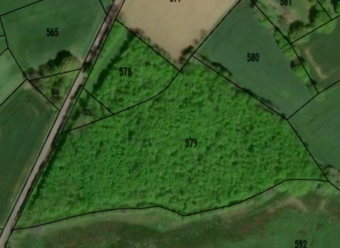 Photos 2 - Forestière - Terrain à vendre  ORSENNES (36)