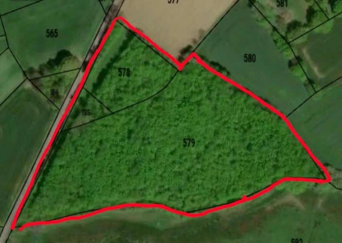 Photos 3 - Forestière - Terrain à vendre  ORSENNES (36)