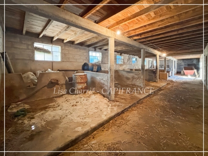 Photos 18 - Prestige - Propriete à vendre 14 pièces LE HOUGA (32) de 215 m2 habitables à rénover, sur 11949 m2 de terrain, dépendances