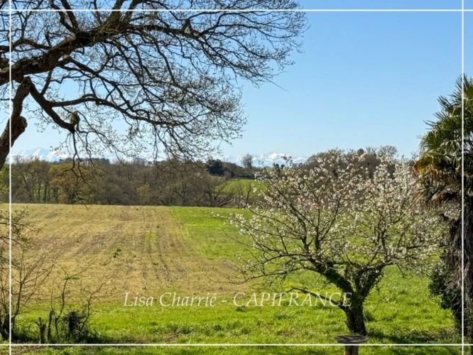 Photos 20 - Prestige - Propriete à vendre 14 pièces LE HOUGA (32) de 215 m2 habitables à rénover, sur 11949 m2 de terrain, dépendances