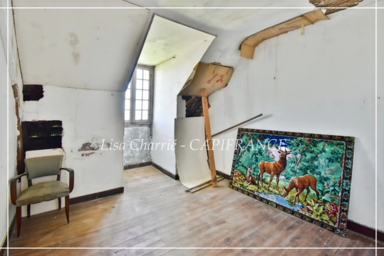 Photos 49 - Prestige - Propriete à vendre 14 pièces LE HOUGA (32) de 215 m2 habitables à rénover, sur 11949 m2 de terrain, dépendances