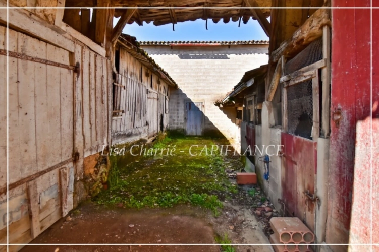 Photos 55 - Prestige - Propriete à vendre 14 pièces LE HOUGA (32) de 215 m2 habitables à rénover, sur 11949 m2 de terrain, dépendances