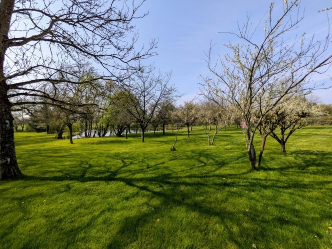 Photos 1 - Rurale - Terrain de loisir - Maulévrier (49)