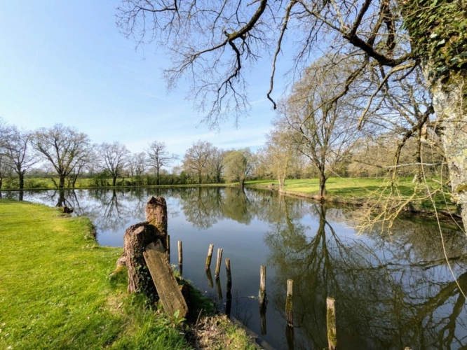 Photos 3 - Rurale - Terrain de loisir - Maulévrier (49)