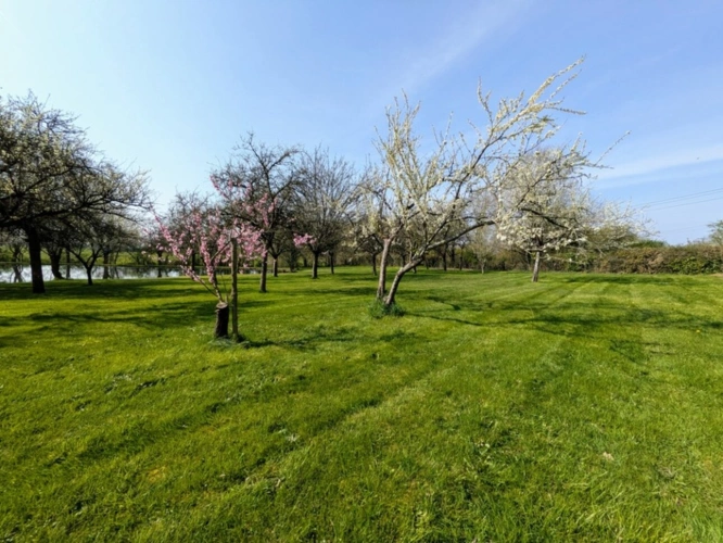 Photos 4 - Rurale - Terrain de loisir - Maulévrier (49)