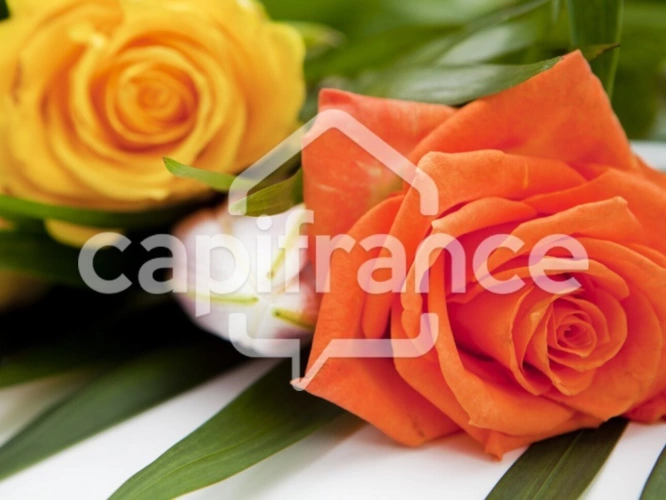 Photos 1 - Agricole - Terrain Agricole à vendre à Mtsapéré MAMOUDZOU (976)