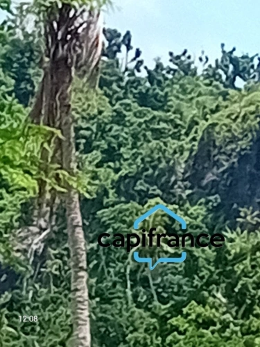 Photos 3 - Agricole - Terrain Agricole à vendre à Mtsapéré MAMOUDZOU (976)