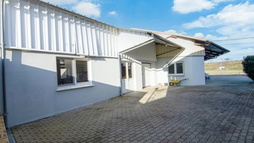 Photos 12 - Prestige - Propriété avec piscine à vendre 8 pièces MERXHEIM (68)