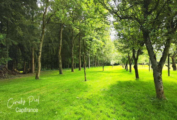 Photos 13 - Prestige - Dpt Morbihan (56), à vendre QUELNEUC manoir propriété d'exception - Terrain de 27 103 m²