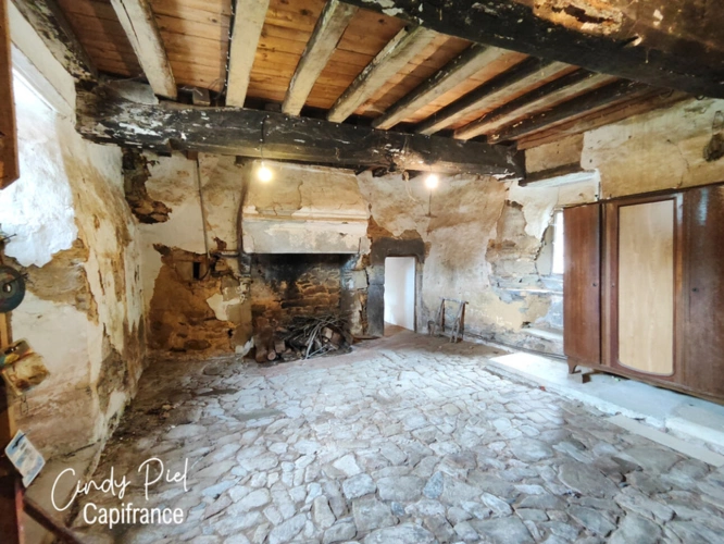 Photos 24 - Prestige - Dpt Morbihan (56), à vendre QUELNEUC manoir propriété d'exception - Terrain de 27 103 m²