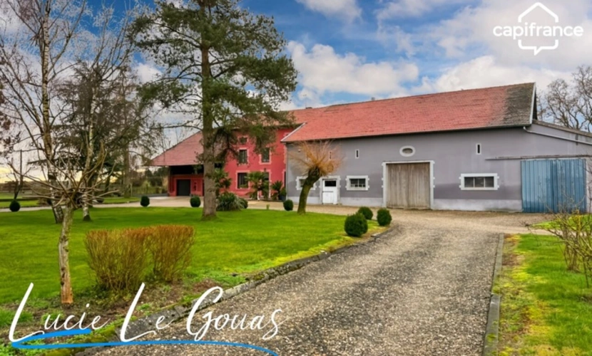 Photos 12 - Équestre - Ensemble immobilier rare sur plus de 4 hectares – Idéal projet équestre, gîte ou grande famille