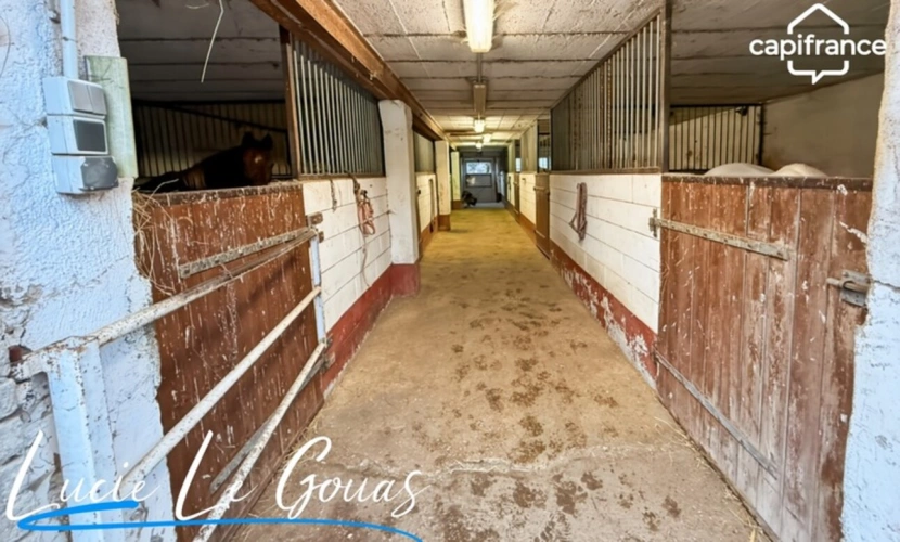 Photos 27 - Équestre - Ensemble immobilier rare sur plus de 4 hectares – Idéal projet équestre, gîte ou grande famille
