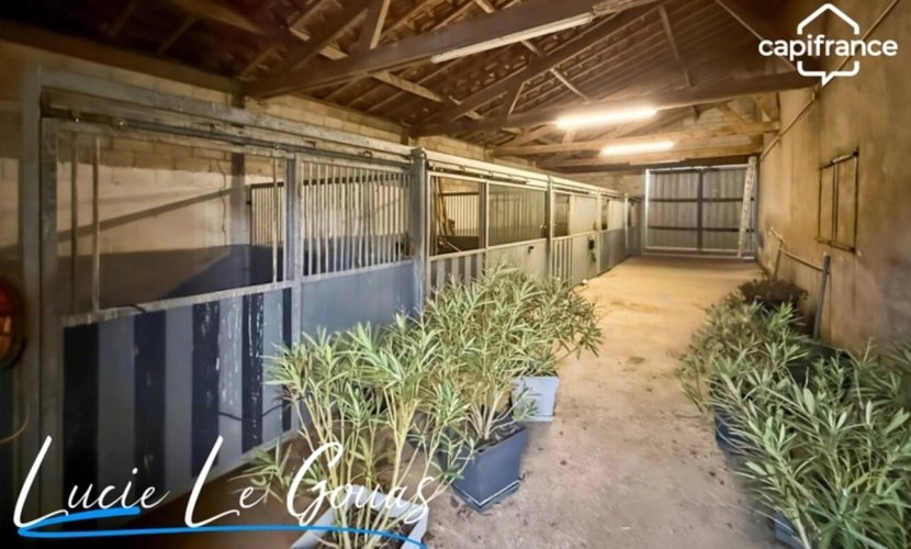 Photos 28 - Équestre - Ensemble immobilier rare sur plus de 4 hectares – Idéal projet équestre, gîte ou grande famille