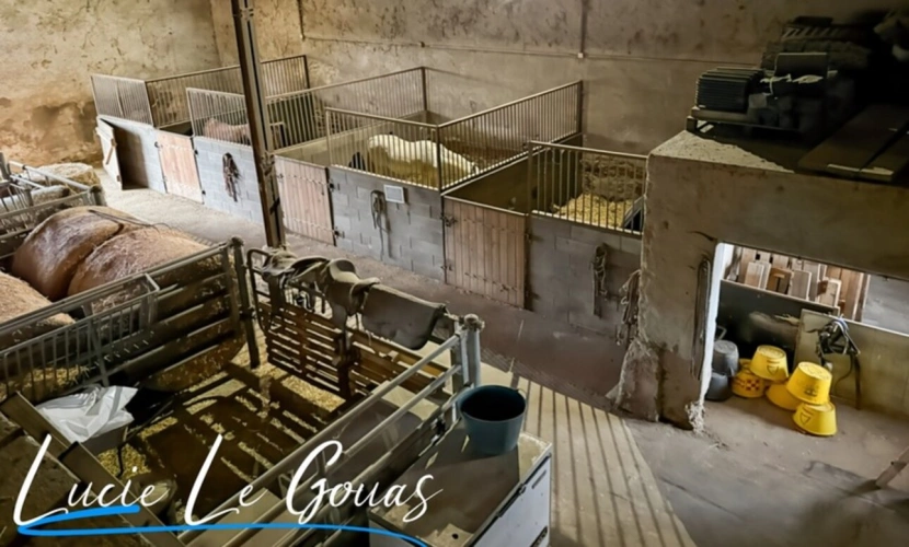 Photos 29 - Équestre - Ensemble immobilier rare sur plus de 4 hectares – Idéal projet équestre, gîte ou grande famille