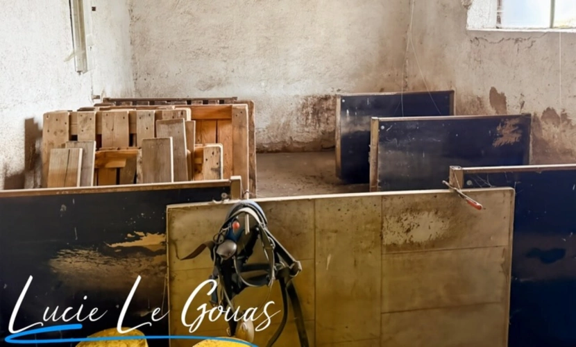 Photos 30 - Équestre - Ensemble immobilier rare sur plus de 4 hectares – Idéal projet équestre, gîte ou grande famille