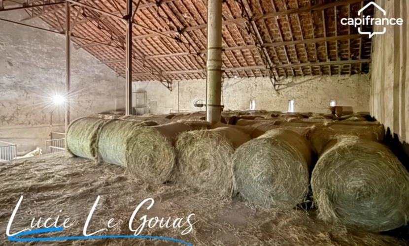 Photos 31 - Équestre - Ensemble immobilier rare sur plus de 4 hectares – Idéal projet équestre, gîte ou grande famille