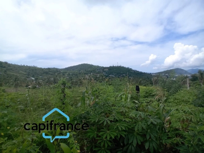 Photos 4 - Agricole - Terrain Agricole à vendre  DZAOUDZI (976)