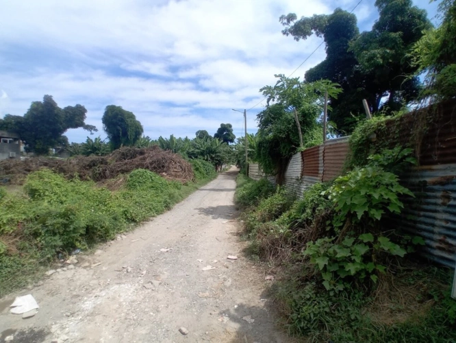 Photos 9 - Agricole - Terrain Agricole à vendre  DZAOUDZI (976)