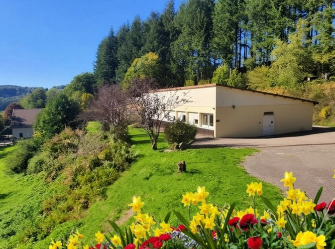 Photos 2 - Touristique - PROPRIETE vendre 20 pièces proche de REMIREMONT (88) sur 2,4 ha avec ETANG, SOURCE