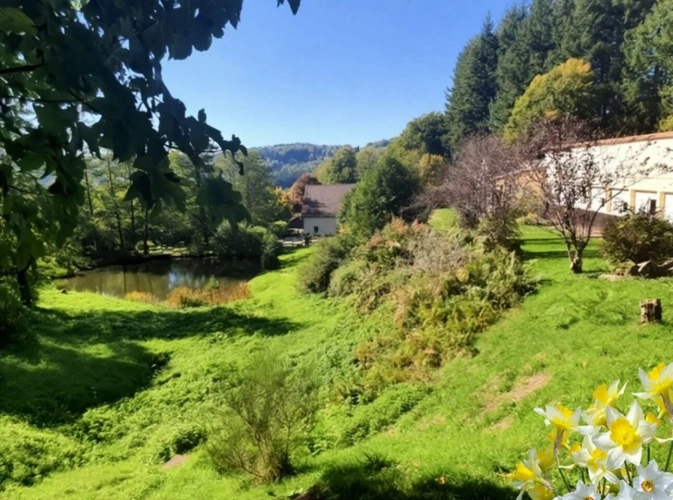 Photos 4 - Touristique - PROPRIETE vendre 20 pièces proche de REMIREMONT (88) sur 2,4 ha avec ETANG, SOURCE