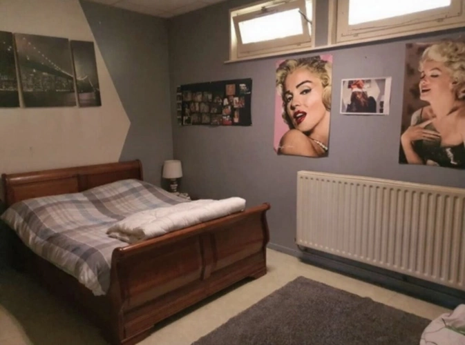 Photos 13 - Touristique - PROPRIETE vendre 20 pièces proche de REMIREMONT (88) sur 2,4 ha avec ETANG, SOURCE