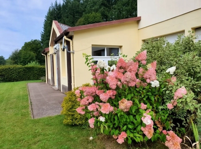 Photos 17 - Touristique - PROPRIETE vendre 20 pièces proche de REMIREMONT (88) sur 2,4 ha avec ETANG, SOURCE