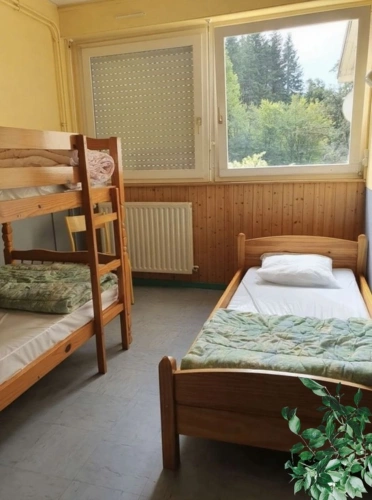 Photos 24 - Touristique - PROPRIETE vendre 20 pièces proche de REMIREMONT (88) sur 2,4 ha avec ETANG, SOURCE