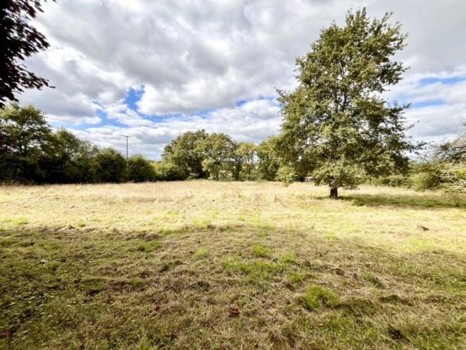 Photos 17 - Prestige - Maison