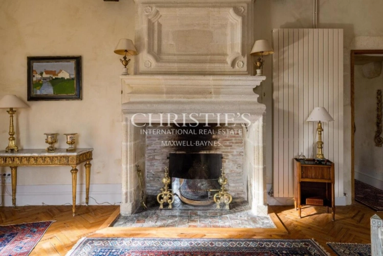 Photos 9 - Viticole - Magnifique Château historique avec une petite activité viticole en AOP Bordeaux Supérieur à proximité de Bordeaux / Saint-Émilion