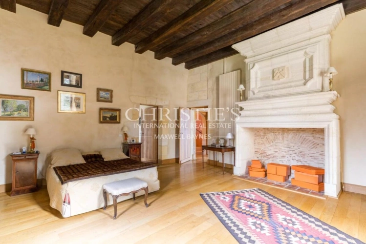 Photos 18 - Viticole - Magnifique Château historique avec une petite activité viticole en AOP Bordeaux Supérieur à proximité de Bordeaux / Saint-Émilion