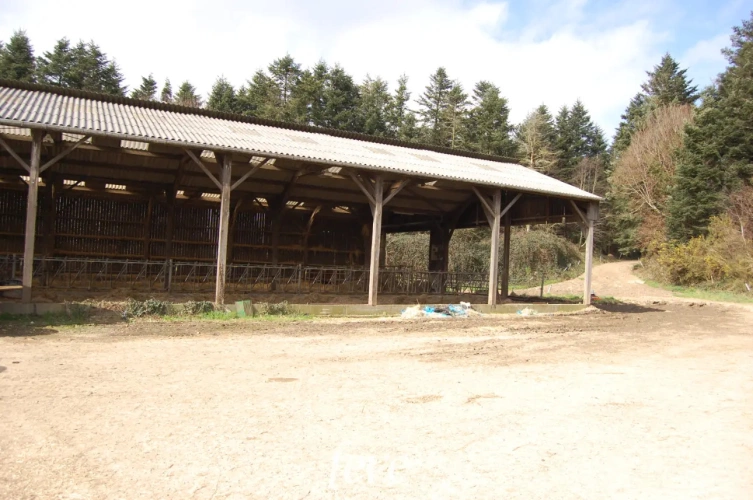 Photos 2 - Agricole - La ferme du pays de Cornouaille