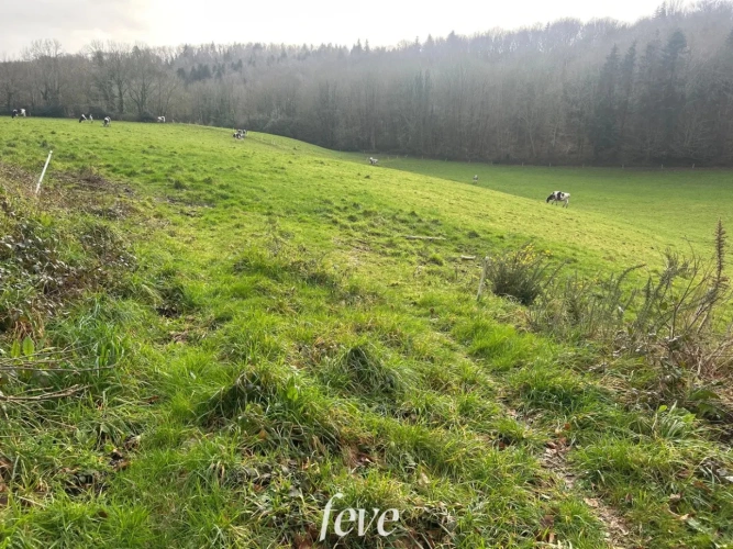 Photos 3 - Agricole - La ferme du pays de Cornouaille