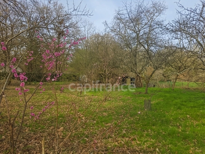 Photos 13 - Rurale - Entre Le Mans et Tours, découvrez ce chalet au cœur d’un environnement naturel privilégié à Aubigné-Racan