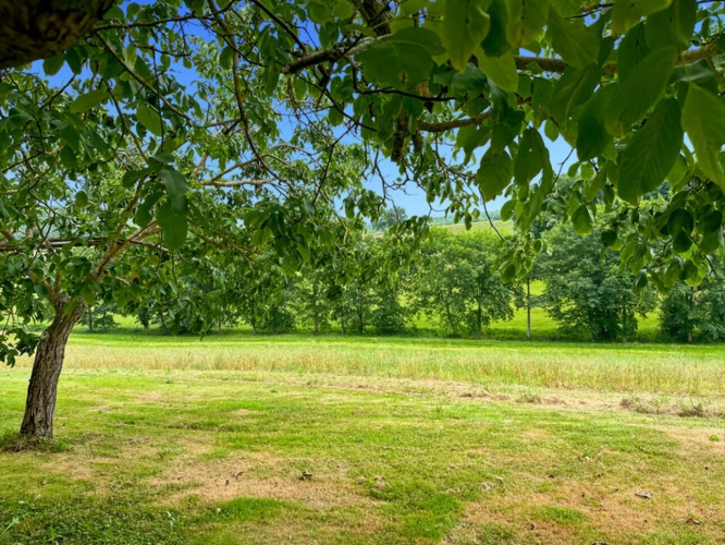 Photos 19 - Prestige - Propriete à vendre - 252 m2 - 44 hectares avec lac - BASSOUES (32)