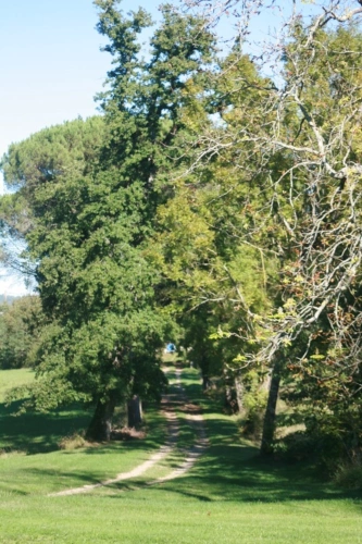 Photos 54 - Prestige - MARCIAC (32): Beau CHATEAU dominant sur 8ha ideal accueil public, EVENEMENTIEL, résidence séniors, communauté, habitat partagé