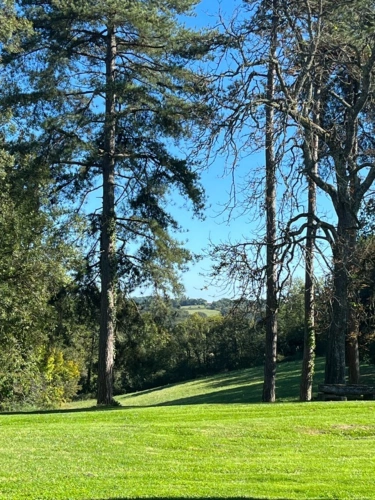 Photos 60 - Prestige - MARCIAC (32): Beau CHATEAU dominant sur 8ha ideal accueil public, EVENEMENTIEL, résidence séniors, communauté, habitat partagé