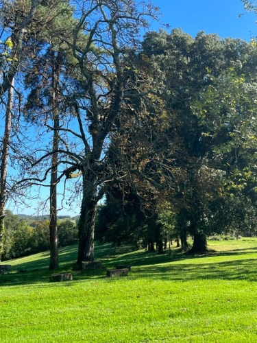 Photos 62 - Prestige - MARCIAC (32): Beau CHATEAU dominant sur 8ha ideal accueil public, EVENEMENTIEL, résidence séniors, communauté, habitat partagé