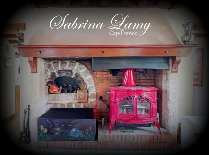 Photos 2 - Prestige -  À Vendre : Élégante Propriété de Prestige en Pierre Meulière - 214 m² sur 2508 m² de Terrain - 5 chambres