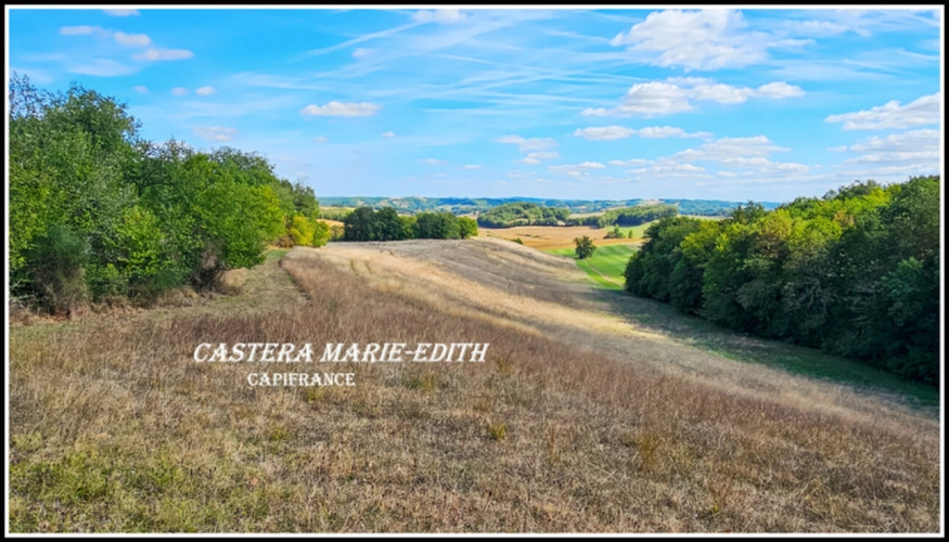 Photos 9 - Prestige - Propriete à vendre-Maison 7 pièces + bâtiments- 85,61 HECTARES  proche de VIC FEZENSAC (32)