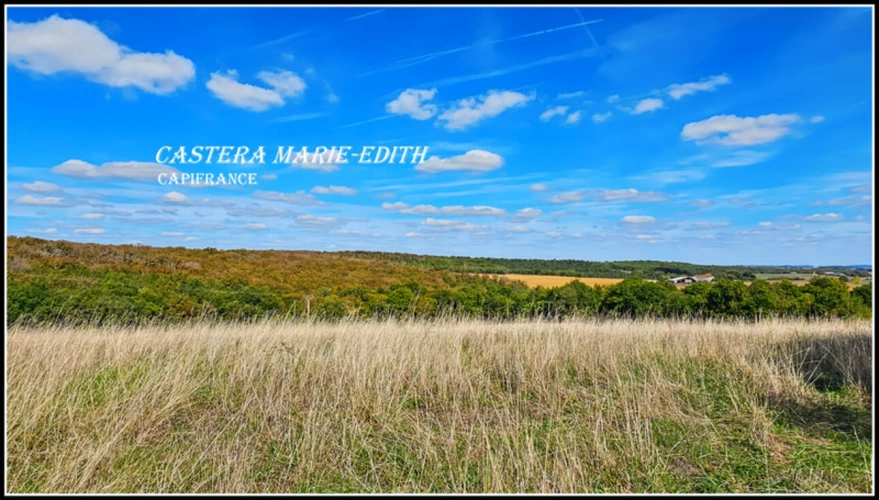 Photos 13 - Prestige - Propriete à vendre-Maison 7 pièces + bâtiments- 85,61 HECTARES  proche de VIC FEZENSAC (32)