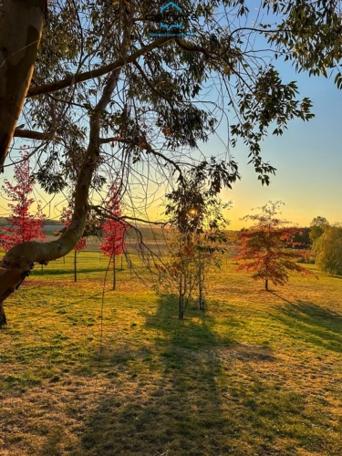 Photos 27 - Rural - Property for sale 6 rooms SALLES (47) House of 190 m2 on 8922m2 of land