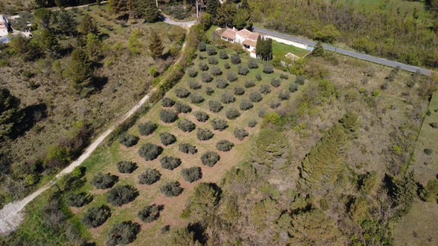 Photos 9 - Prestige - Maison